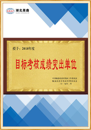 2018年度目标考核成绩突出单位